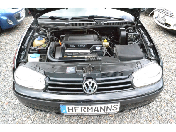 Volkswagen Golf 4 Trendline  4