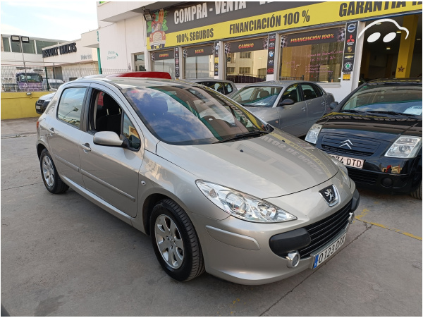 Peugeot 307 1.6 Clim Plus 1