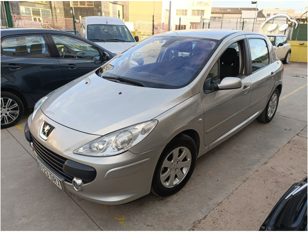 Peugeot 307 1.6 Clim Plus 3