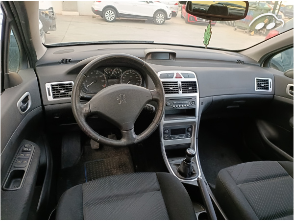 Peugeot 307 1.6 Clim Plus 7