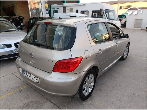 Peugeot 307 1.6 Clim Plus 6