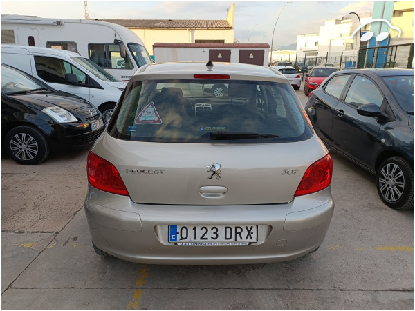 Peugeot 307 1.6 Clim Plus 5