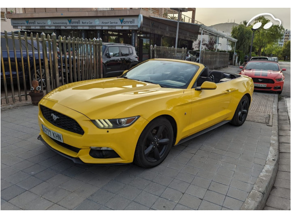 Ford Mustang V6 Cabrio 2