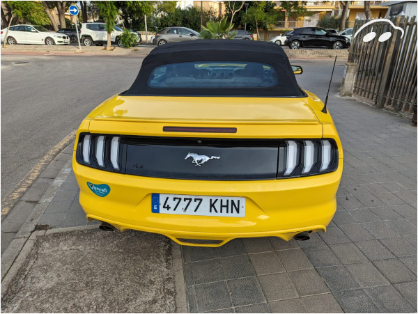 Ford Mustang V6 Cabrio 5