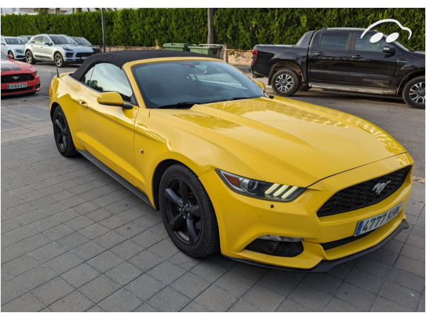 Ford Mustang V6 Cabrio 8