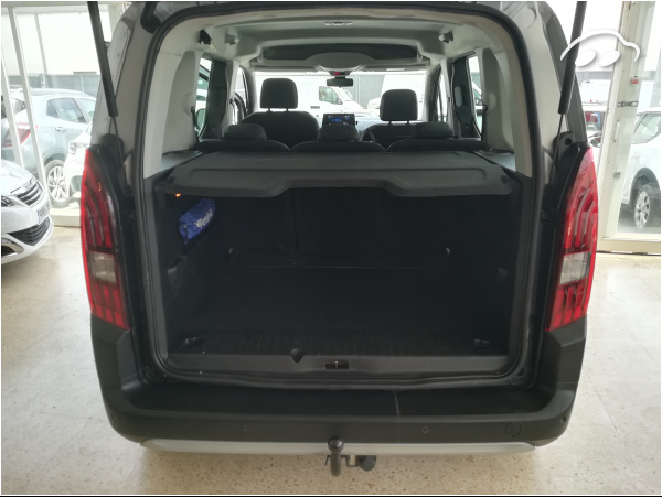 Peugeot Rifter allure 7