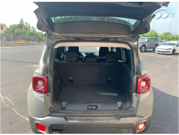 Jeep Renegade Trailhawk 6