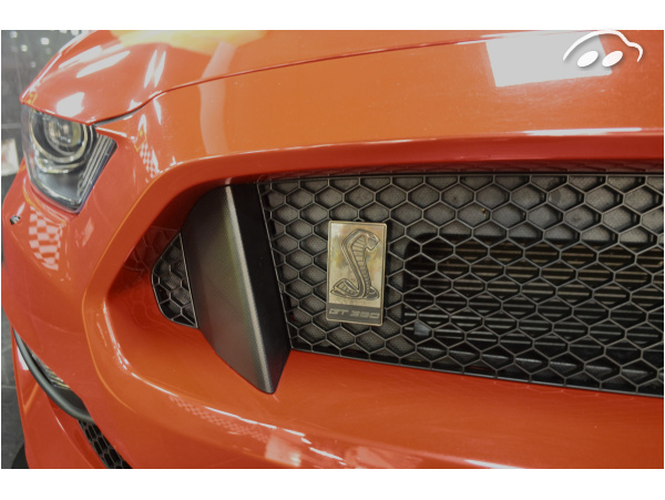 Ford Mustang SHELBY GT 350 5.2 V8 7