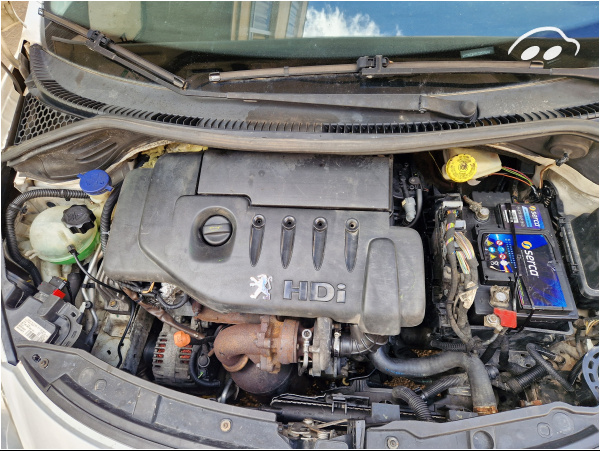 Peugeot 207 Style 10