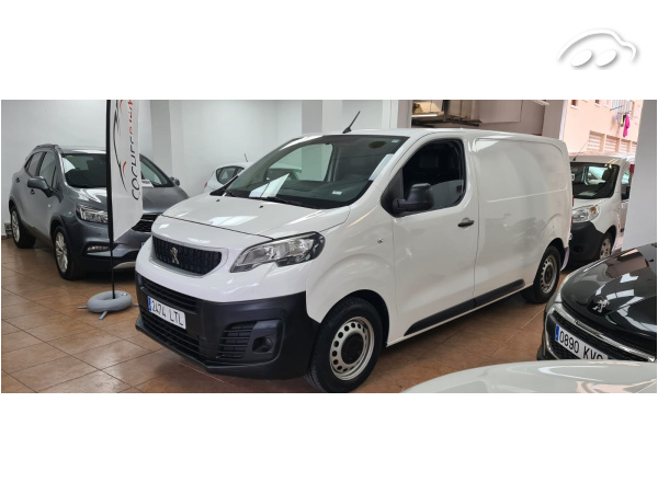 Peugeot Expert furgon 1