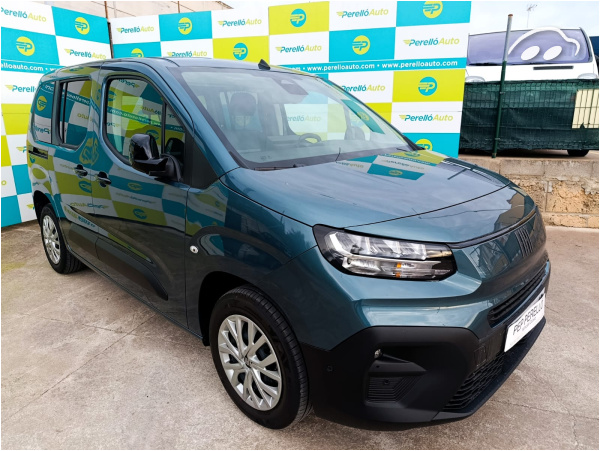 Fiat Doblo PROFESIONALES COMBI DIESEL 100 8