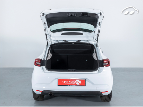 Renault Clio BUSINESS 1.0 TCE GLP 100CV 8