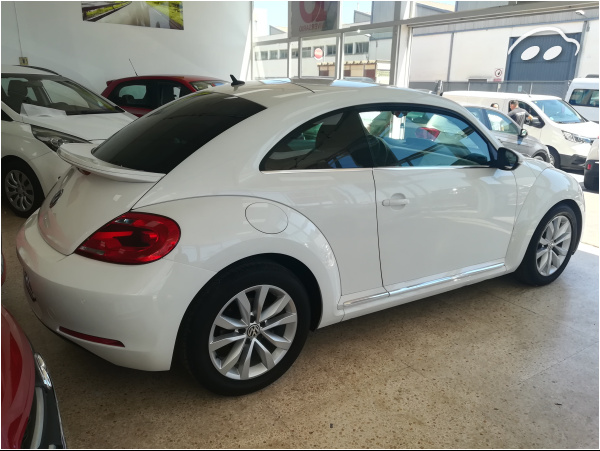 Volkswagen Beetle FENDER ED 5